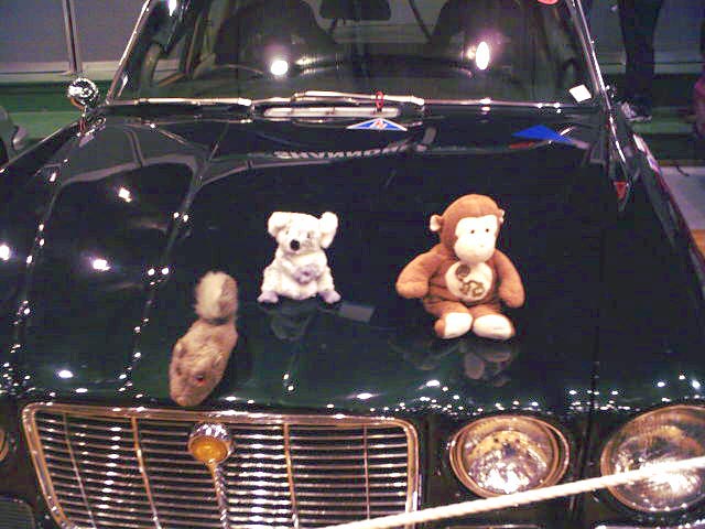 Tasmanian Targa Rally 08